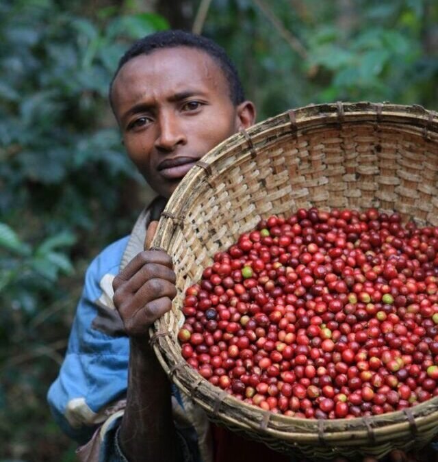 Os melhores países para uma viagem cafeinada