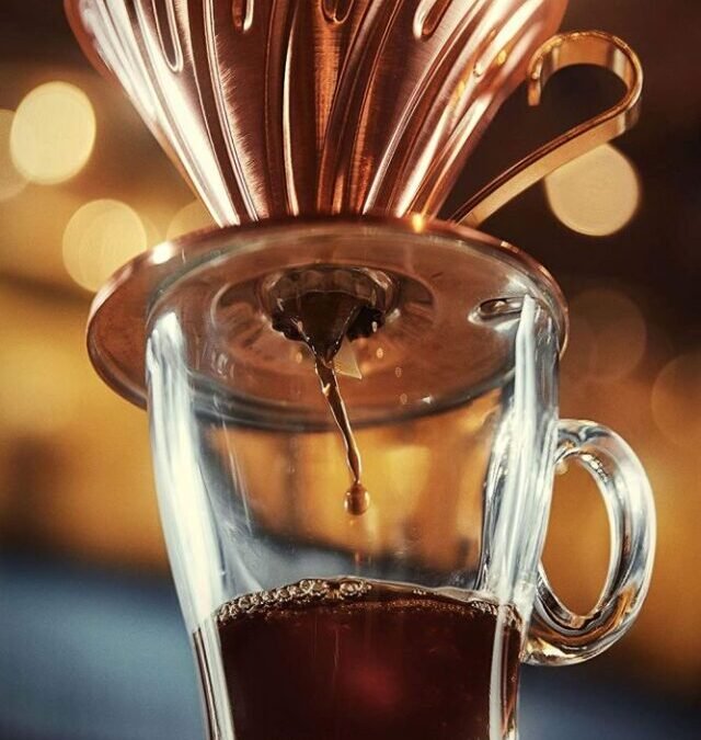 Jacu Coffee: primo brasileiro do Kopi Luwak