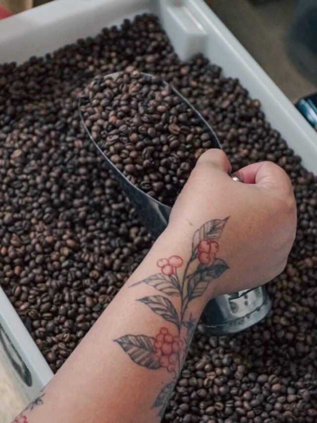 Conheça a Refazenda Cafés Especiais