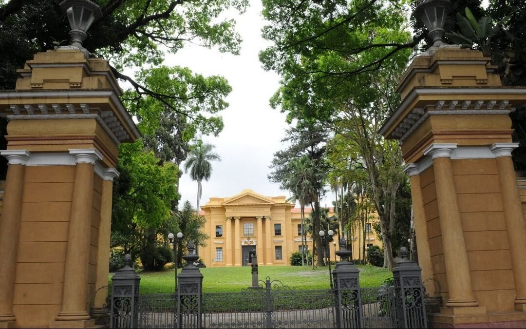 Possível venda da Fazenda Santa Elisa, de propriedade do IAC, preocupa pesquisadores e comunidade do café